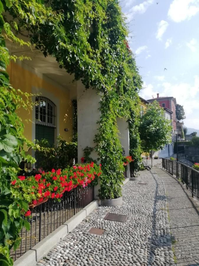 Viewtiful Homestay Stazzona Экстерьер фото