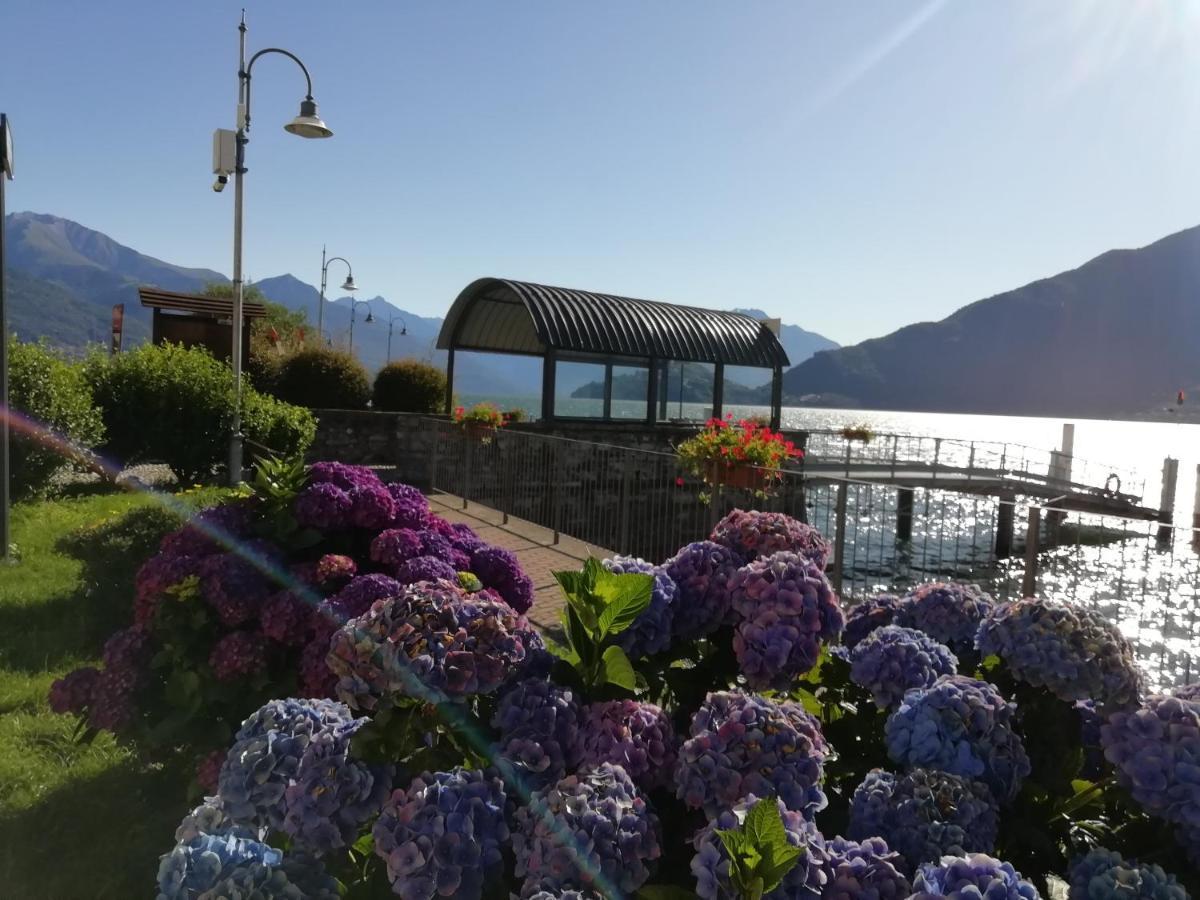 Viewtiful Homestay Stazzona Экстерьер фото
